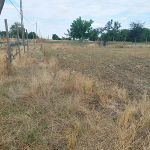 Teren intravilan de vânzare  - imagine 3