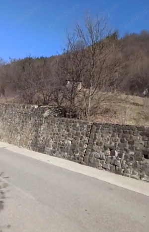 Fâneață cu livadă de pruni - imagine 10