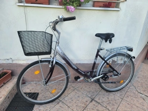 Bicicleta dame cu cos