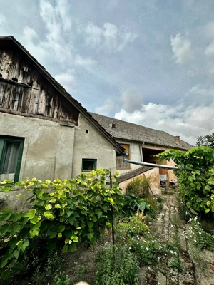Casă de patrimoniu rural, sfârșit secol XIX   Otelec - imagine 3