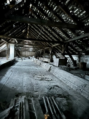 Casă de patrimoniu rural, sfârșit secol XIX   Otelec - imagine 7