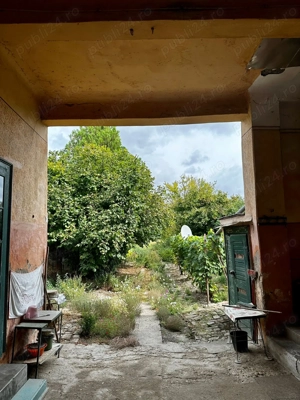 Casă de patrimoniu rural, sfârșit secol XIX   Otelec - imagine 8