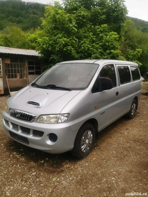 Hyundai H1, an 2009, utilitară transport căței