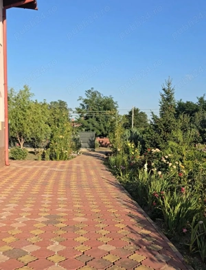 Vand casa in Însurăței, BR - imagine 4