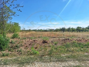 Teren de vânzare – 1500 mp, Broșteni, jud. Argeș - imagine 2