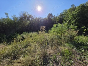 Vând proprietate - Valea Mare (Dâmbovița) - imagine 10