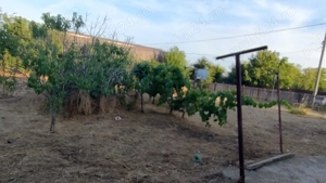 Vand casa cu teren de 2080 mpin Dor Marunt - imagine 2