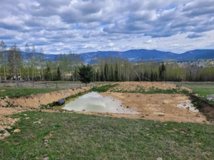 Teren 4000 mp cu utilități   Neagra Șarului, la doar 20 km de Vatra Dornei | Perfect pentru casă sau