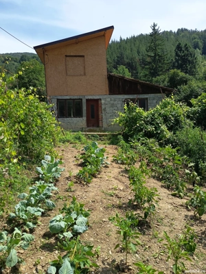 inchiriez casă oraș Nehoiu lunca mare strada Tudor Mușatescu  - imagine 4