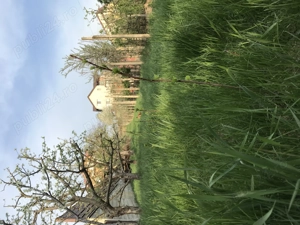 Teren 1043mp în Tătărași între GreenPark și Kaufland - imagine 4