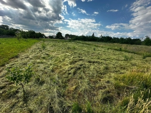 Teren intravilan 1493 mp Ianova - imagine 5 Teren intravilan 1493 mp Ianova - imagine 5