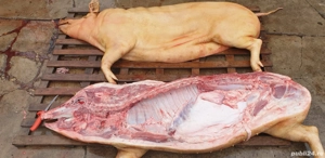 Vând carcasă de porc 