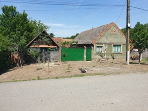 Casa cu gradina de vanzare