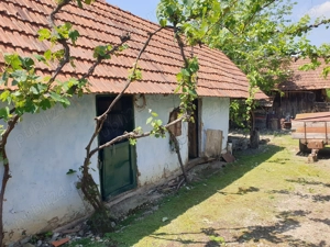 Casa cu gradina de vanzare - imagine 7