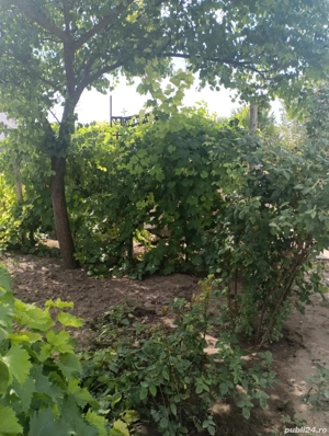 vând casă bătrânească  - imagine 7