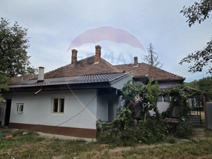 Casă si teren de 1195mp in Tinca - imagine 9 Casă si teren de 1195mp in Tinca - imagine 9