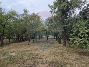 Casă si teren de 1195mp in Tinca - imagine 13 Casă si teren de 1195mp in Tinca - imagine 13