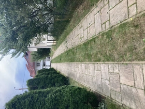 Angajam muncitori pentru amenajari gradini - imagine 3