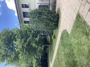 Angajam muncitori pentru amenajari gradini - imagine 2