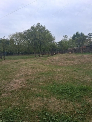 Teren intravilan de vânzare  - imagine 3