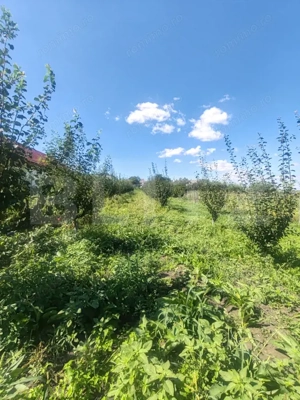 Căsuță tip foișor, 30 mp, pe un teren de 3.000 mp, vedere panoramică, Mihaiesti