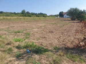 Teren  EXTRAVILAN -Bucuum Iași  - imagine 5