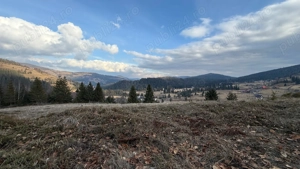 Teren in Apuseni lang Arieseni - imagine 2