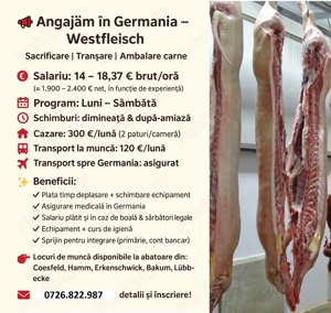  Angajăm în Germania   Westfleisch angajeaza personal
