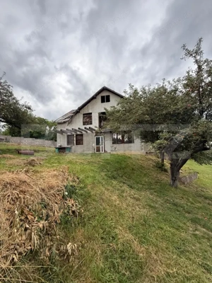 Casa etaj, 140 mp utili, 4800 mp teren, Adâncata - imagine 2