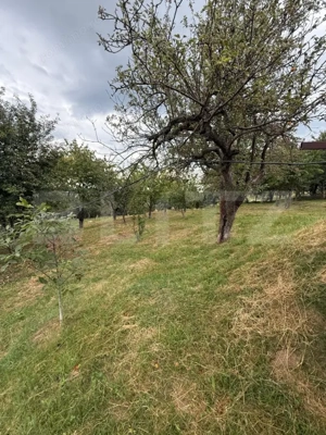 Casa etaj, 140 mp utili, 4800 mp teren, Adâncata - imagine 5
