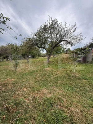 Casa etaj, 140 mp utili, 4800 mp teren, Adâncata - imagine 6