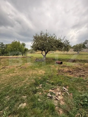 Casa etaj, 140 mp utili, 4800 mp teren, Adâncata - imagine 8