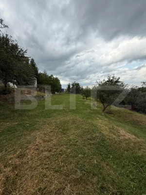 Casa etaj, 140 mp utili, 4800 mp teren, Adâncata - imagine 7