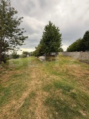 Casa etaj, 140 mp utili, 4800 mp teren, Adâncata - imagine 9