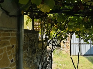 Casa de vacanta - Dognecea, CS - Teren 719 mp | Comision 0% - imagine 11