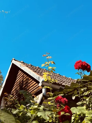 Casa de vacanta - Dognecea, CS - Teren 719 mp | Comision 0%