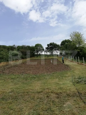 Casa renovabila, 1508 mp teren, Vultureni