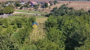 Teren de vânzare 1935 mp Piatra Neamț - Str. Plantelor