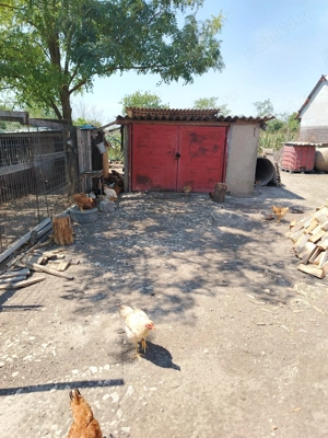 Casă de vânzare în sat LANURILE  - imagine 5