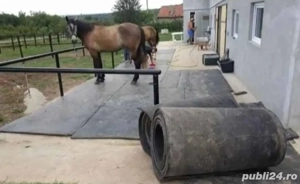 Vand banda de cauciuc va garantam ca avem cele mai mici.preturi la banda pentru animale 