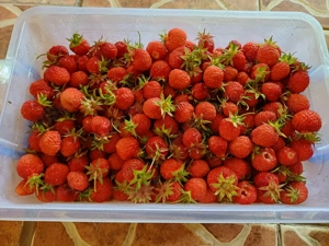 Vând casă + teren   3.500 mp Comuna Cornăţelu, judeţul Dâmboviţa