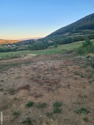 teren pentru cabană 700m2!