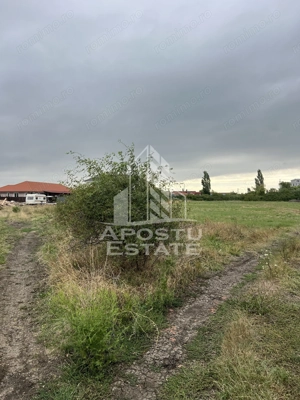 Parcela 707 mp in Sacalaz langa cartierul Primaverii
