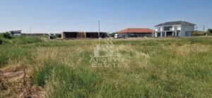 Parcela 707 mp in Sacalaz langa cartierul Primaverii - imagine 3