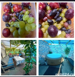 Casa de vanzare  - imagine 5