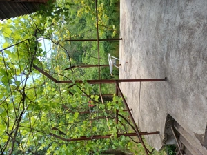 Vand casa Vrancea  - imagine 9