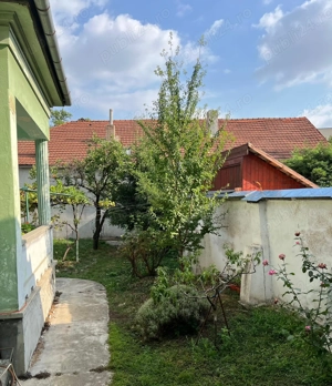 Vand casa singur in curte