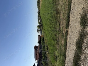 Teren intravilan 3000 mp Lugoj - imagine 2