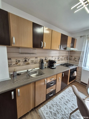 Apartament Stefania Targu Ocna - imagine 9