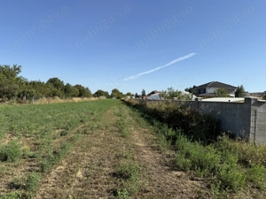 Teren intravilan 3000 mp Lugoj - imagine 3